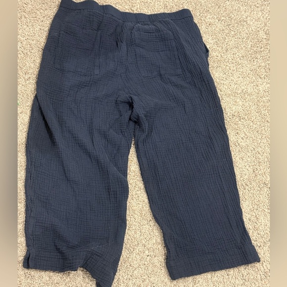 J. Jill Deep Blue Trousers - Picture 3 of 7